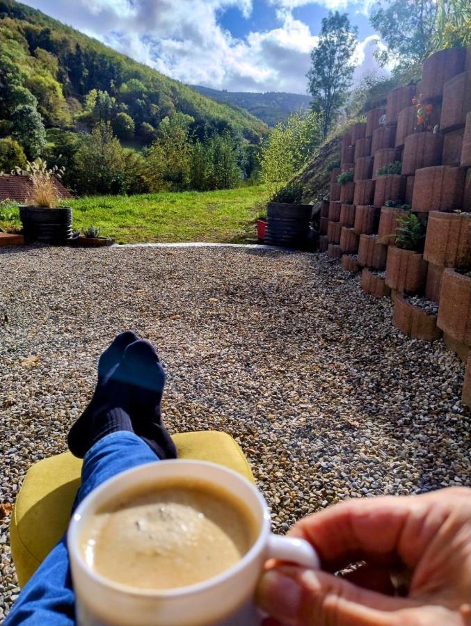 L'Ecrin Des Biches Bed & Breakfast Sainte-Marie-aux-Mines Dış mekan fotoğraf